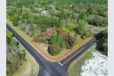 Tbd SW 146th Lane Road, Ocala, FL 34473 - Photo 1
