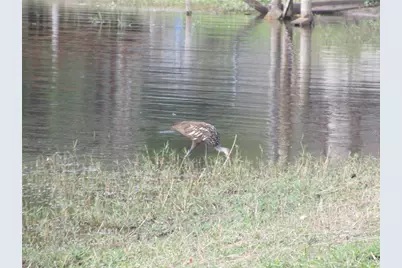 2380 SE 174th Court, Silver Springs, FL 34488 - Photo 77