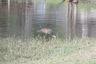 2380 SE 174th Ct, Silver Springs, FL 34488 - Photo 77