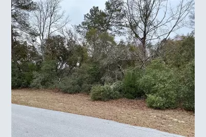 Sw 137th Loop, Ocala, FL 34473 - Photo 3