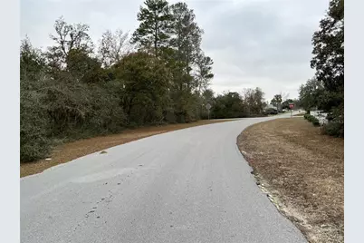 Sw 137th Loop, Ocala, FL 34473 - Photo 5