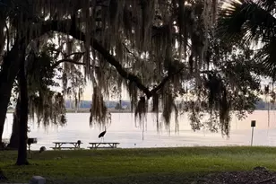 14010 NE 250th Cir, Salt Springs, FL 32134 - Photo 41