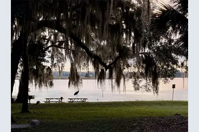 14010 NE 250th Circle, Salt Springs, FL 32134 - Photo 39