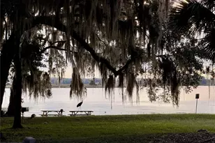 14010 NE 250th Cir, Salt Springs, FL 32134 - Photo 39