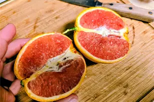 2043 NE 43rd St, Ocala, FL 34479 - Photo 89