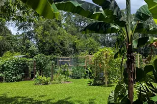 2043 NE 43rd St, Ocala, FL 34479 - Photo 77