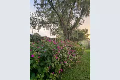 2043 NE 43rd Street, Ocala, FL 34479 - Photo 67