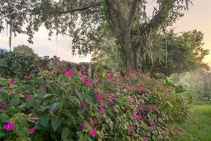 2043 NE 43rd St, Ocala, FL 34479 - Photo 67