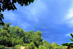 2043 NE 43rd St, Ocala, FL 34479 - Photo 69