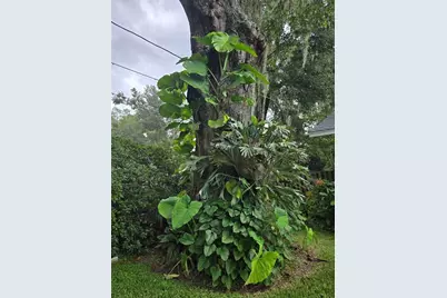 2043 NE 43rd Street, Ocala, FL 34479 - Photo 61