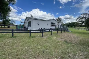 19231 NW Hwy 335, Williston, FL 32696 - Photo 3
