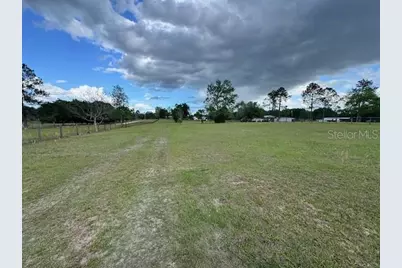 19231 NW Highway 335, Williston, FL 32696 - Photo 23