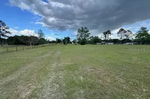 19231 NW Hwy 335, Williston, FL 32696 - Photo 23