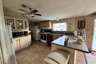 19231 NW Hwy 335, Williston, FL 32696 - Photo 9
