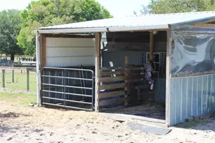19231 NW Hwy 335, Williston, FL 32696 - Photo 25
