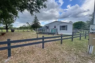 19231 NW Hwy 335, Williston, FL 32696 - Photo 5