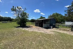 19231 NW Hwy 335, Williston, FL 32696 - Photo 27