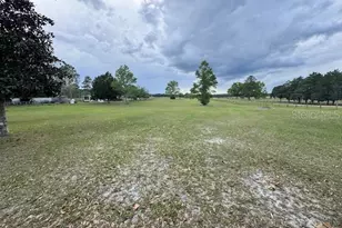 19231 NW Hwy 335, Williston, FL 32696 - Photo 23