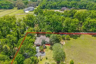 4659 SE 17th St, Ocala, FL 34471 - Photo 9