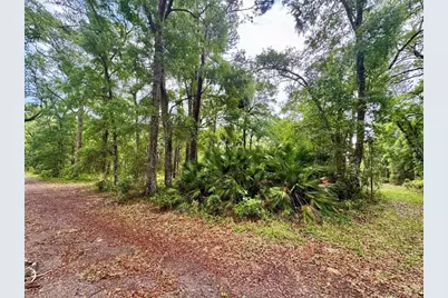 23714 NE 119th Place, Salt Springs, FL 32134 - Photo 5