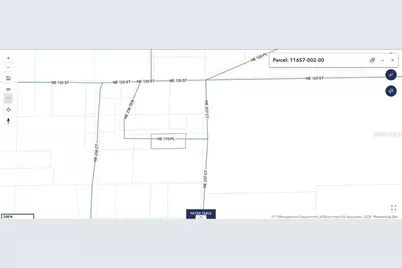 23714 NE 119th Place, Salt Springs, FL 32134 - Photo 3