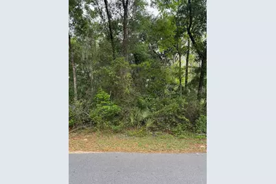 Tbd Larch Course, Ocala, FL 34480 - Photo 5