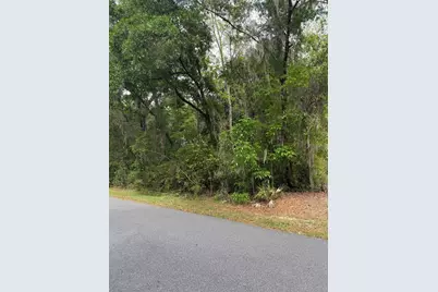 Tbd Larch Course, Ocala, FL 34480 - Photo 9