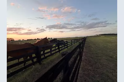 12451 NE 20th Street, Williston, FL 32696 - Photo 5
