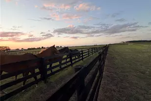 12451 NE 20th St, Williston, FL 32696 - Photo 5