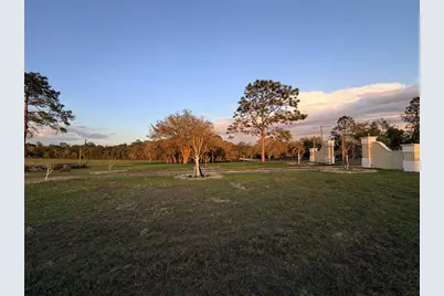 12451 NE 20th Street, Williston, FL 32696 - Photo 11