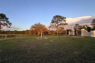 12451 NE 20th St, Williston, FL 32696 - Photo 11