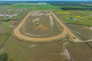 12451 NE 20th St, Williston, FL 32696 - Photo 13