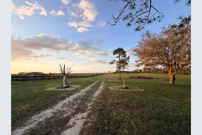 12451 NE 20th Street, Williston, FL 32696 - Photo 11