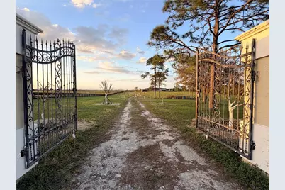 12451 NE 20th Street, Williston, FL 32696 - Photo 9