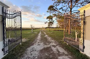 12451 NE 20th St, Williston, FL 32696 - Photo 9