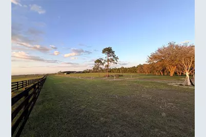 12451 NE 20th Street, Williston, FL 32696 - Photo 3