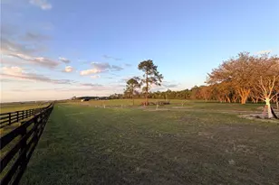 12451 NE 20th St, Williston, FL 32696 - Photo 3