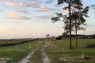 12451 NE 20th St, Williston, FL 32696 - Photo 13