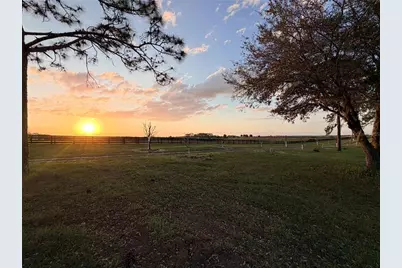 12451 NE 20th Street, Williston, FL 32696 - Photo 9