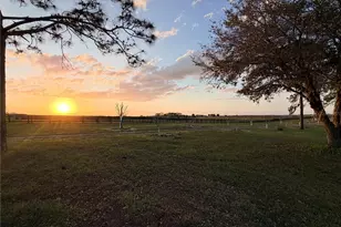 12451 NE 20th St, Williston, FL 32696 - Photo 9