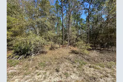 Tbd SW 29th Street, Ocala, FL 34473 - Photo 1