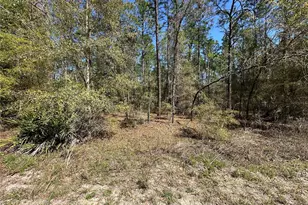 Tbd SW 29th St, Ocala, FL 34473 - Photo 1