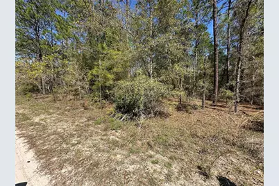 Tbd SW 29th Street, Ocala, FL 34473 - Photo 3
