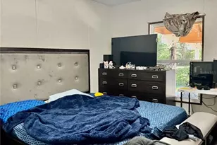 5390 NE 134th Ave, Williston, FL 32696 - Photo 29