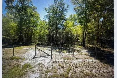 1260 SW Marigold Place, Fort White, FL 32038 - Photo 1