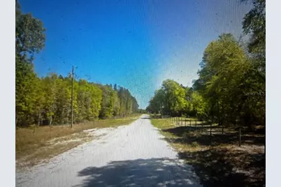 1260 SW Marigold Place, Fort White, FL 32038 - Photo 3