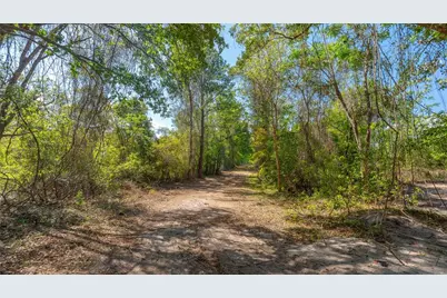 11500 SE 92nd Court, Belleview, FL 34420 - Photo 9