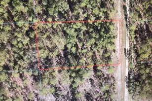 0 SW 136 Terrace, Dunnellon, FL 34432 - Photo 1