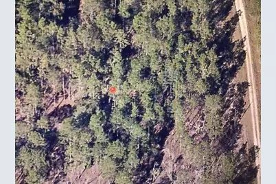 0 SW 136 Terrace, Dunnellon, FL 34432 - Photo 5