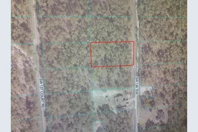 0 SW 136 Terrace, Dunnellon, FL 34432 - Photo 3